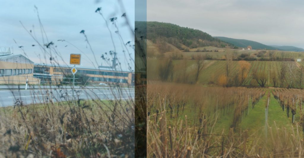 Eine Straße mit dem Ortsschild "Edenkoben". Dazu sieht man ein Feld. Hier wurde ein kleines Mädchen entführt.