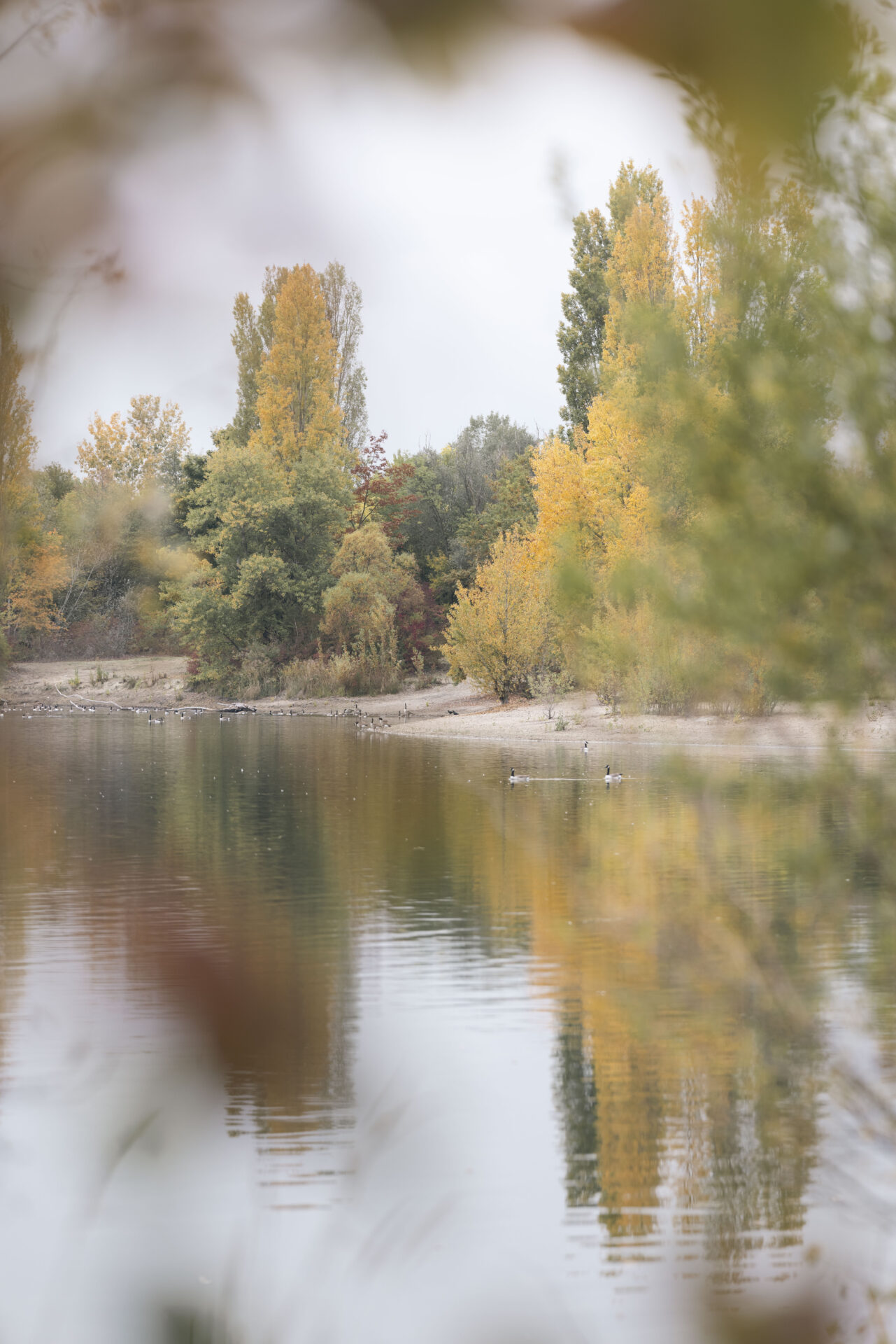 Kindesmissbrauch Tatort: Ein Strandabschnitt an einem See