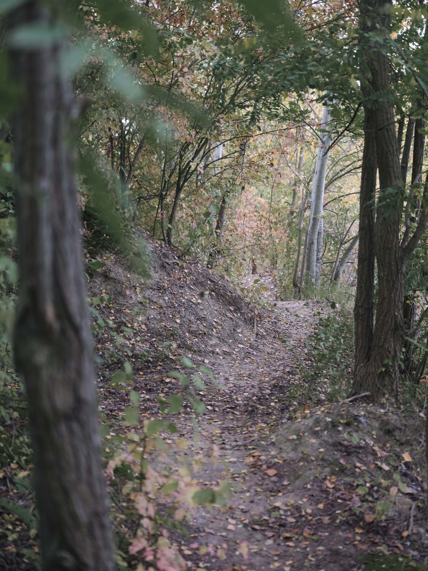 Kindesmissbrauch Tatort: Ein Waldweg